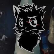 Чёрны Кот Из Тиктока