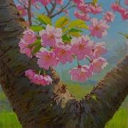 Spring Hope Cahyana Uu