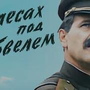 В Лесах Под Ковелем
