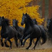 Красивая Расслабляющая Музыка