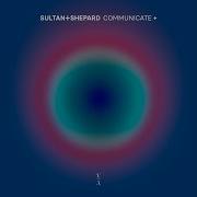 Sultan Shepard Indieholics