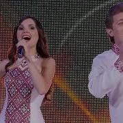 Лебеди Кохання