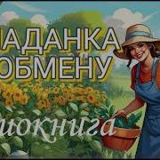 Попаданка По Обмену