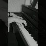 Жизнь Как Розы Минус