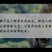 15年级下册语文 跳水 课文