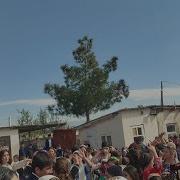 Далери Зарифи 2026