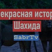 Проповедь Про Шахидов