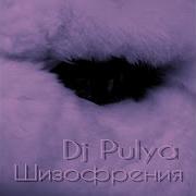 Dj Pulya Шизофрения