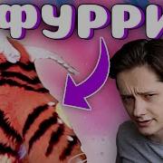 Это Все Фурри