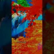Твоё Имя Цитаты