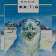 Недопесок