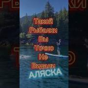 Сэльмане Сэльмане