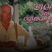 Вино Из Одуванчиков