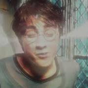 Angryking Summertime Babe