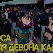 Фирузи Диско Туена