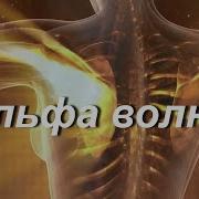 Альфа Ритмы Для Сна
