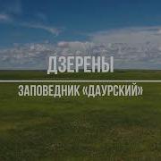 Дзерены