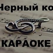Черный Кот Агузарова Минус