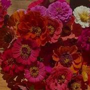 Сытин На Оздоровление Головы