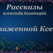 Ведро Незабудок