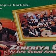 Zeytin Yaprağı Yeşil
