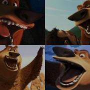Boog Screams