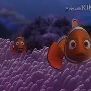 Barracuda Attack Nemo