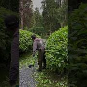 Выход Садовника