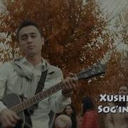 Hayollarimdasan Kechalari