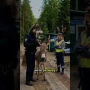 Не Стал Как Вы Волчицаavc