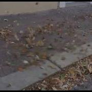 Sunny Boney M One Hour