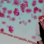Синфдош Хакида Шер