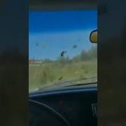 Айс Вайс Опи Айс