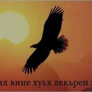 Шамил Атана