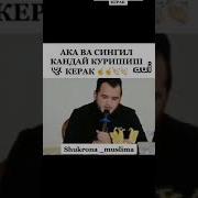 Aka Singlini Qiladi