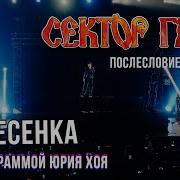Сектор Газа Послесловие