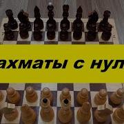 Самоучитель Игры В Шахматы
