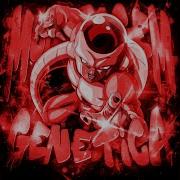 Montagem Genetica 2