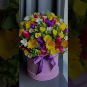 Энг Чройли Гуллар