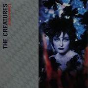 The Creatures Full Album