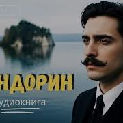 Клюквин Аудиокнига Акунин