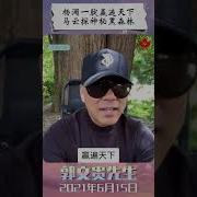 杨澜黑森林