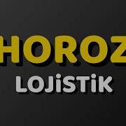 Horoz Lojistik Yorumlar