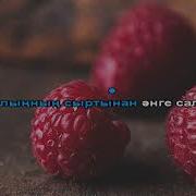 Көк Өрік Минусовка