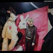 Free Type Beat Elyaplugg Bunny