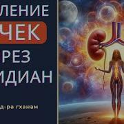 Исцеление Почек
