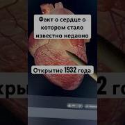 Нейроакустика Сердце