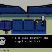 Gaster Meme