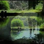 Филингс Саксофон