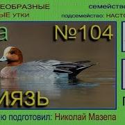 Свиязь Голос